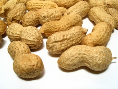 peanuts  photo